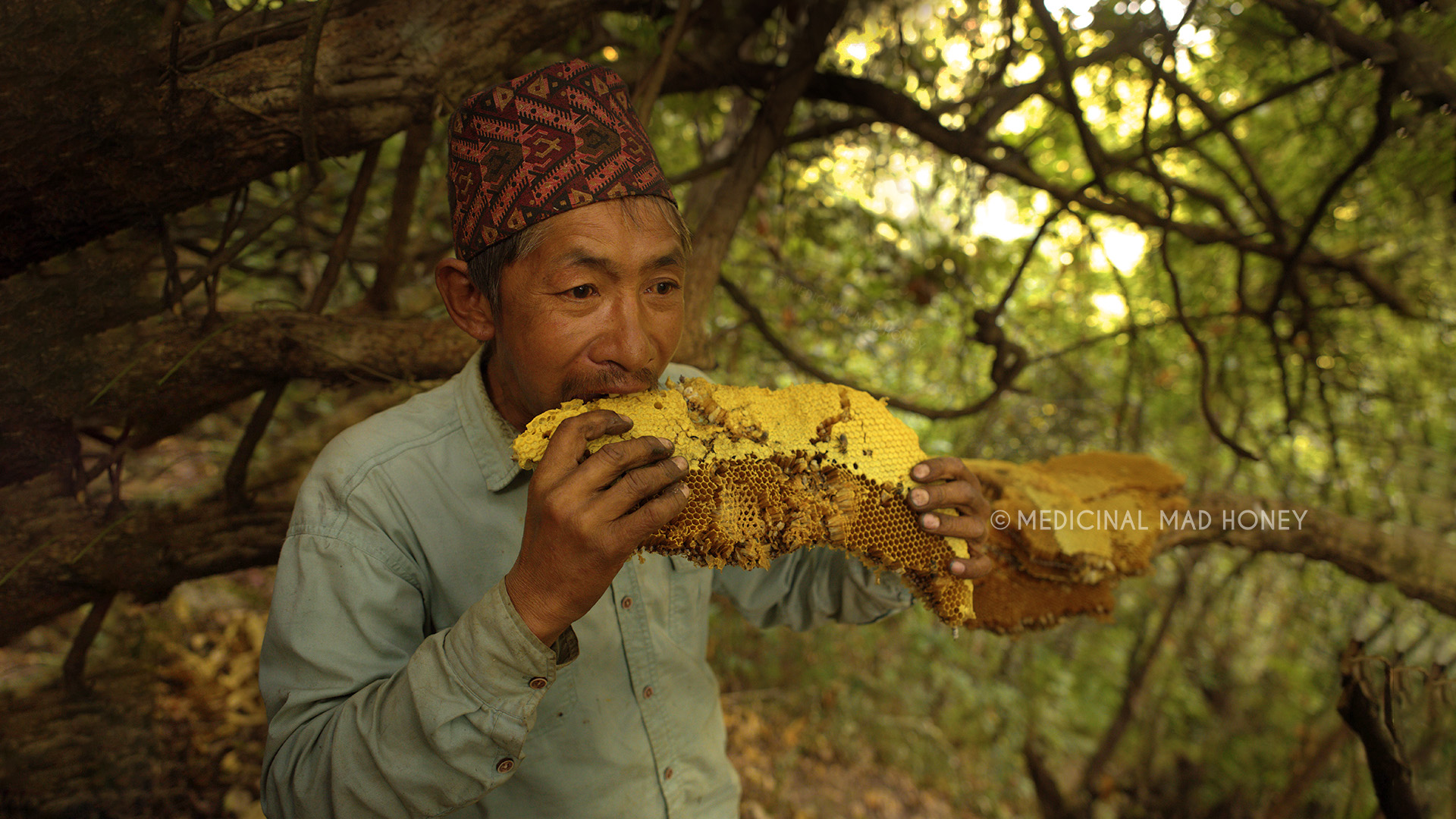 person consuming medicinal mad honey