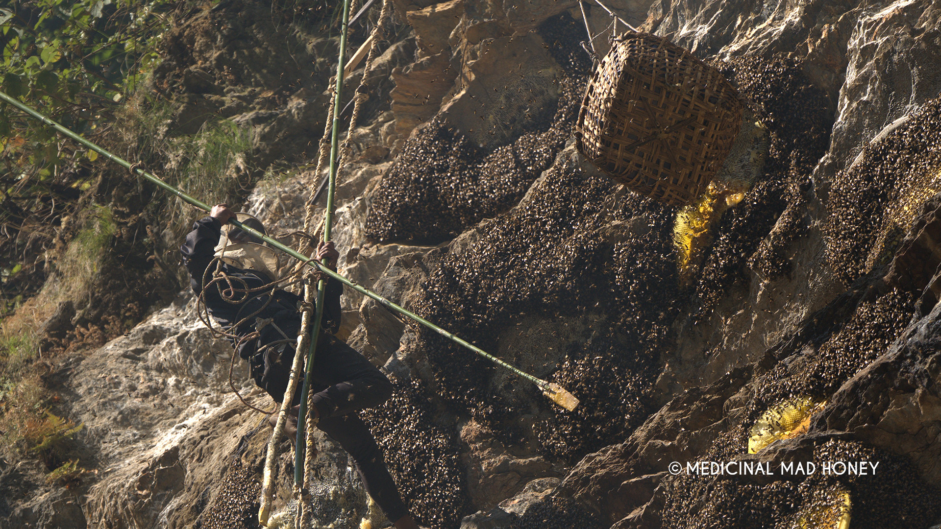 gurung carries tango /Ghochma Stick for mad honey hunting