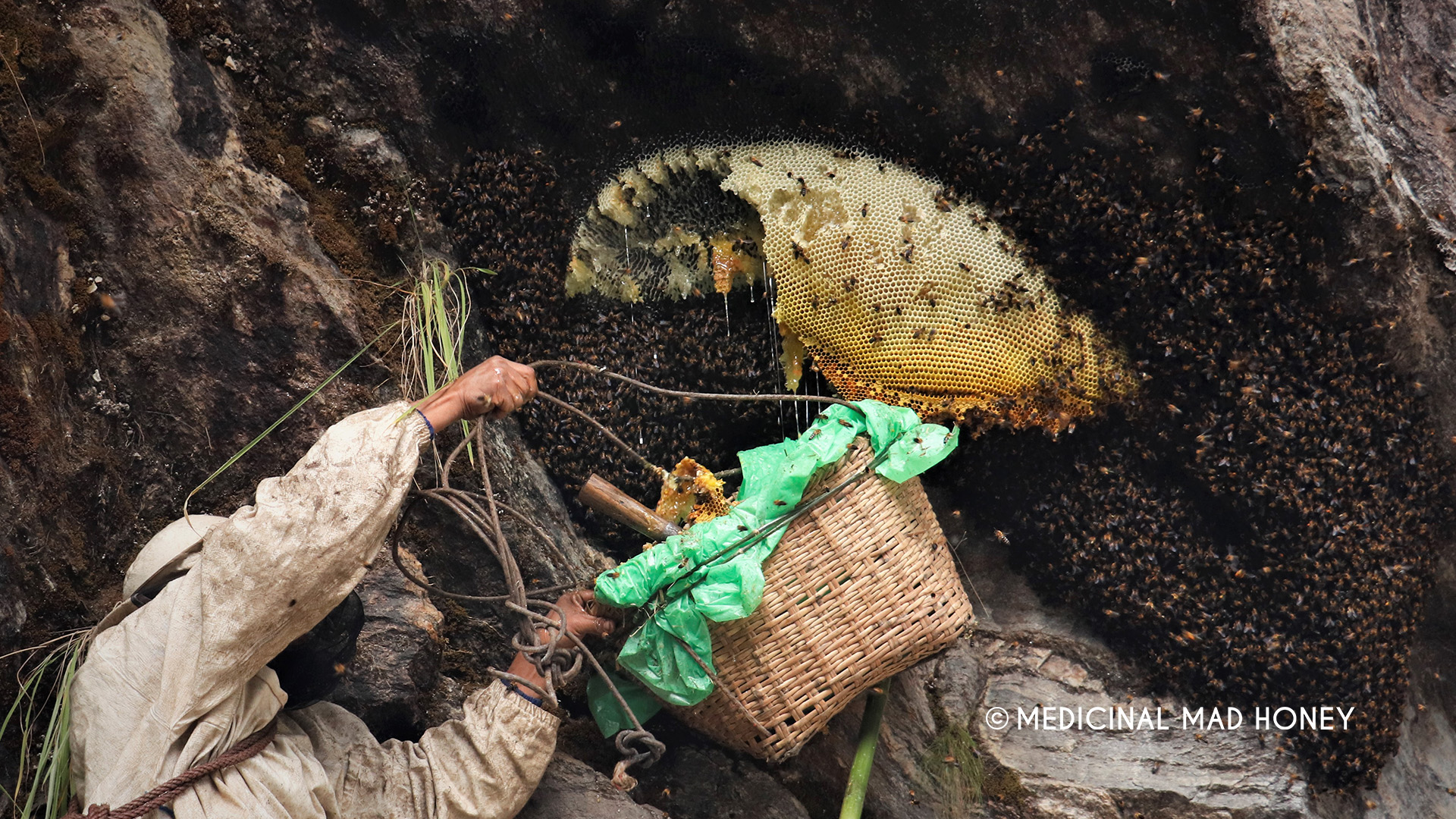 tokari/bamboo basket for mad honey hunting